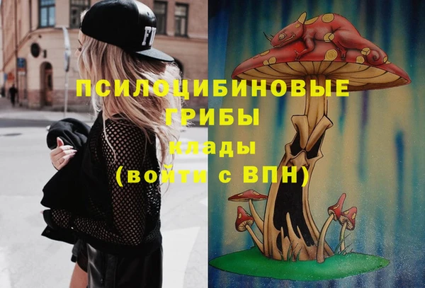мяу мяу мука Алексеевка