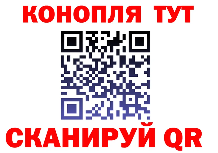ГАШ Изолятор tor это гидра Курчалой